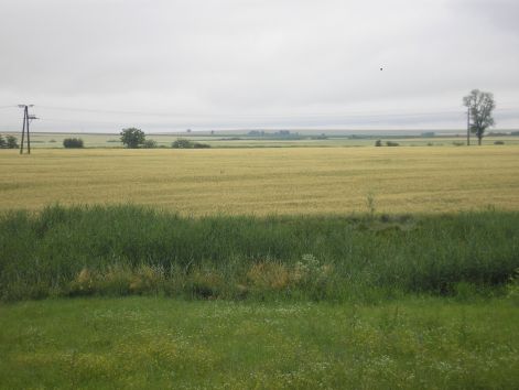 galamb_2011._09._18._053.jpg